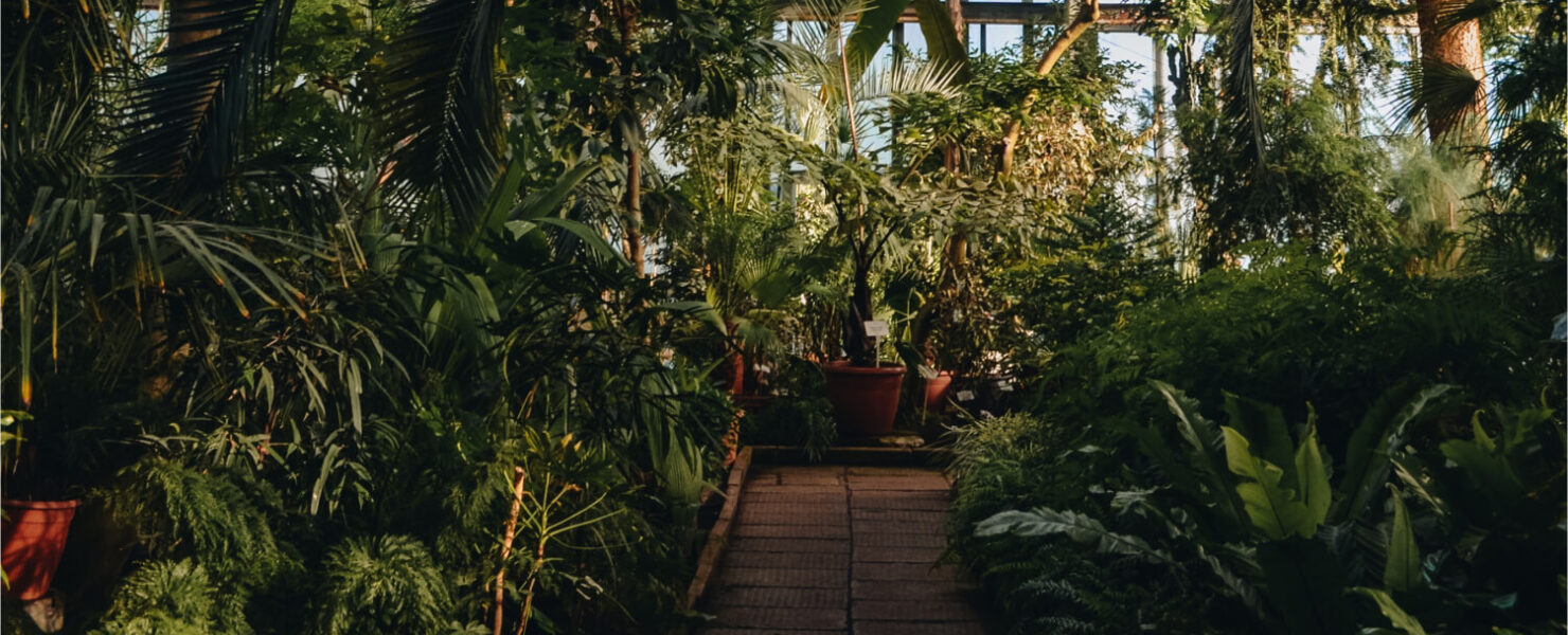 Myriad Botanical Gardens